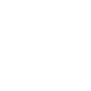 Traveler's Choice Award 2024